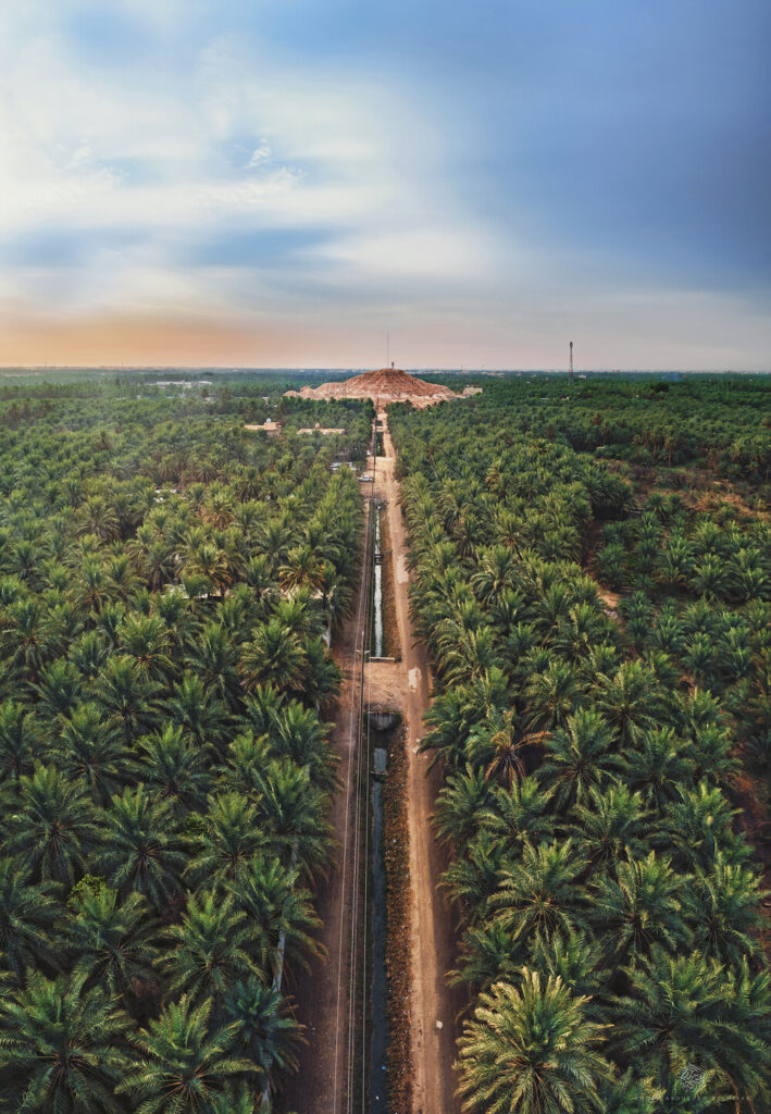 Al-Ahsa_UNESCO Creative City_landscape