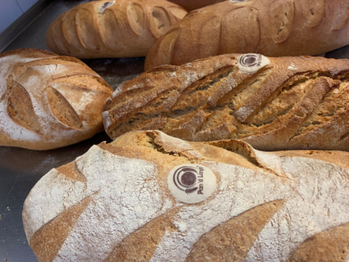 Traditional Bread from Alba UNESCO Creative City