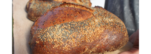 Traditional Bread from Frutillar UNESCO Creative City