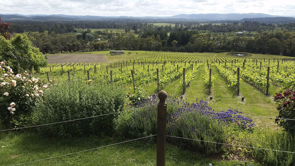 Launceston's heritage and traditions