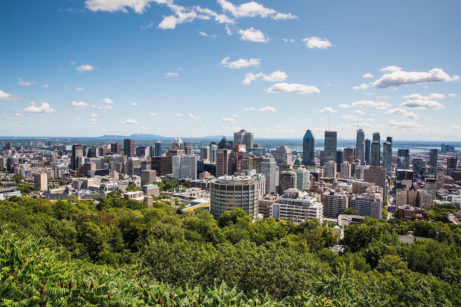 Montreal_UNESCO Creative City_landscape