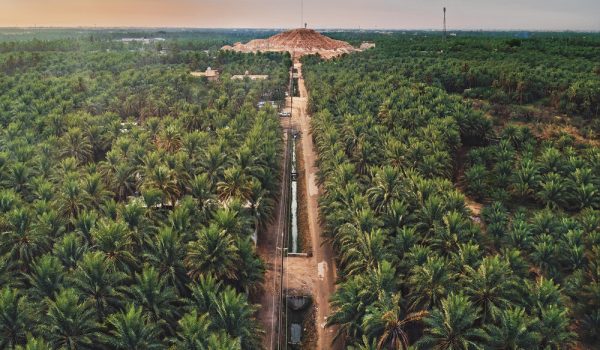 Al-Ahsa_UNESCO Creative City_landscape