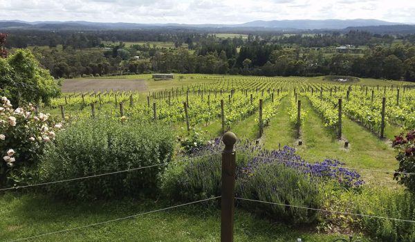 Launceston's heritage and traditions