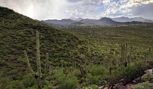 Tucson_City_2018